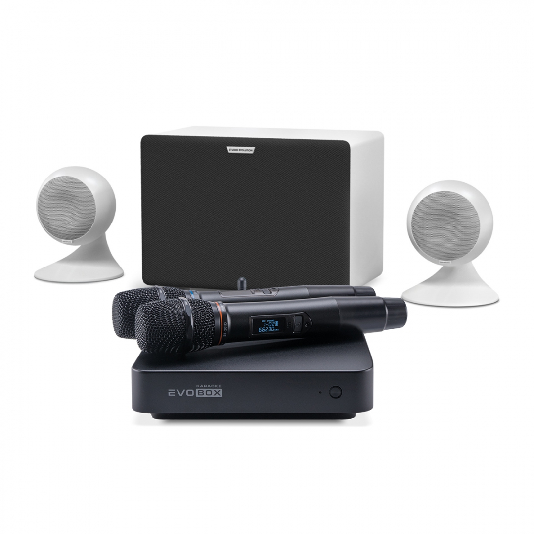 караоке-комплект EVOBOX Classic + EvoSound Sphere 2.1 в Орле