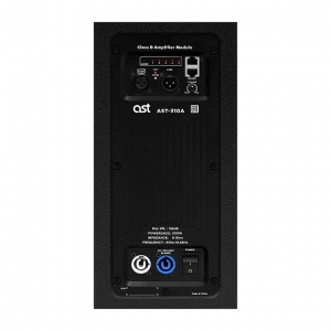 Активная акустическая система AST-310A в Орле