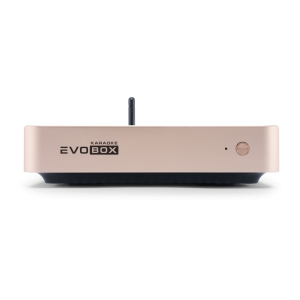 EVOBOX Classic караоке-система для дома в Орле