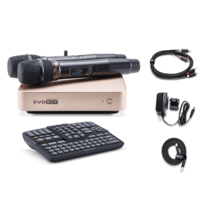 EVOBOX Classic караоке-система для дома в Орле